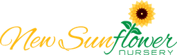 New Sunflower logo