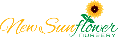 New Sunflower logo