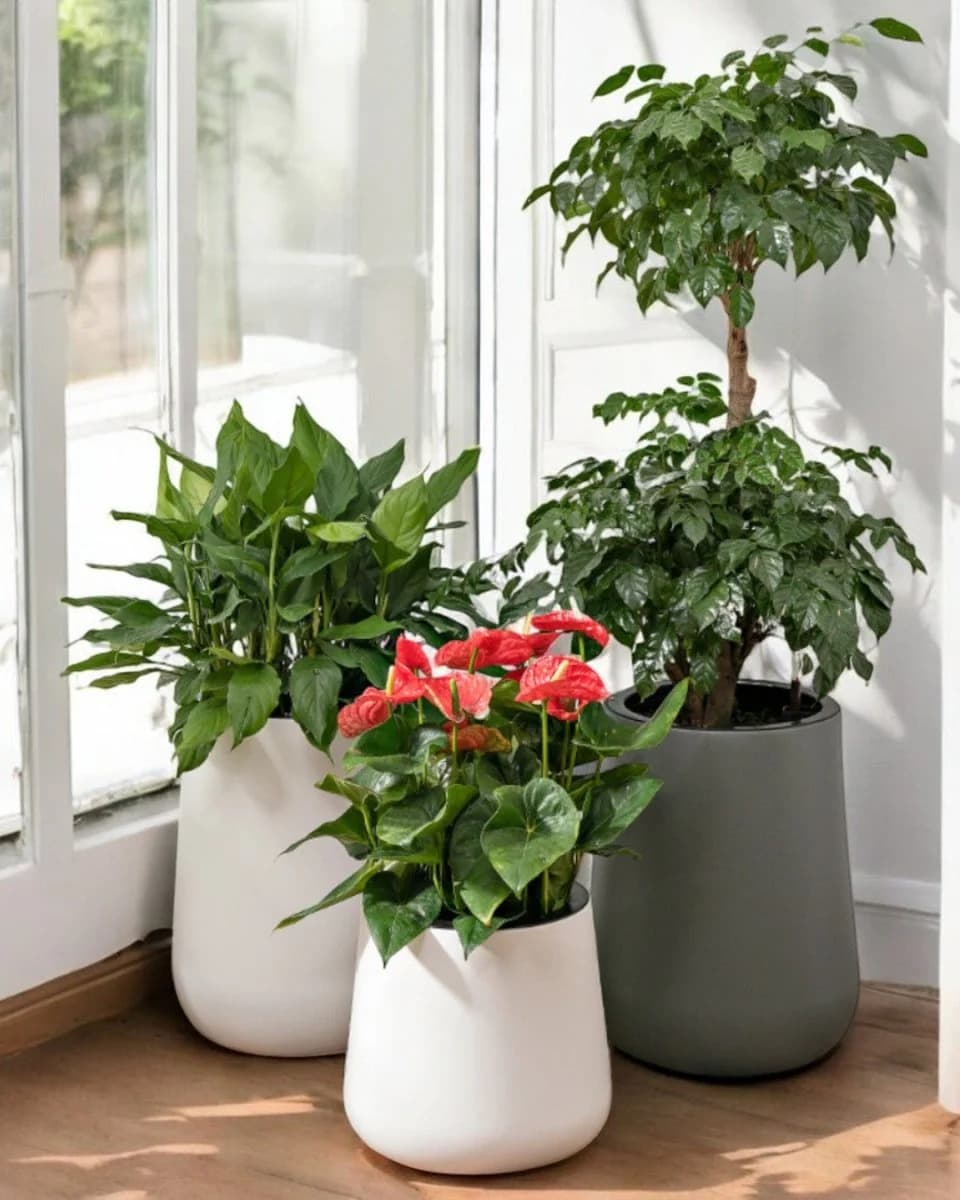 Plant collection specimen 8
