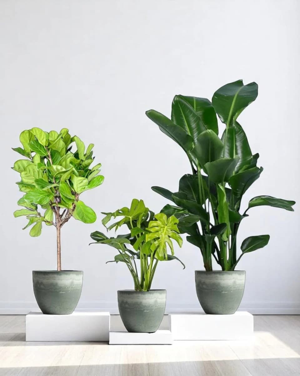 Plant collection specimen 10